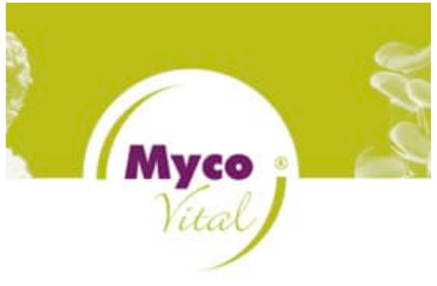 Myco Vital – Durch die Kraft der Pilze zur ganzheitlichen Gesundheit